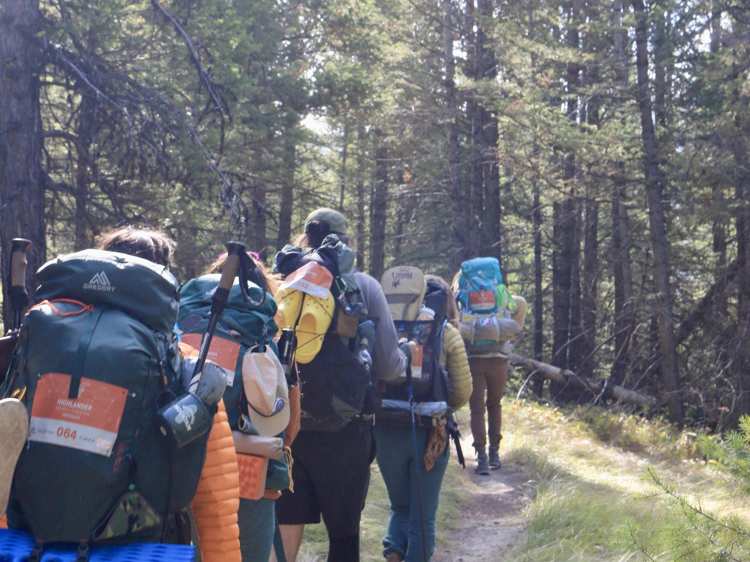 My Experience Hiking with Highlander  Adventure USA