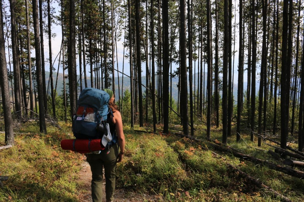Highlander Kalispell - somewhere in the Flathead National Forest