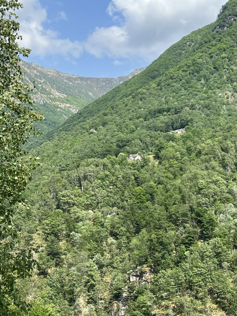 Excuse the iPhone-zoom photo. To give a sense of the appearance of old stone structures in Ticino, here is a photo I took while hiking of several rustici on a mountainside across the valley. These are only accessable by foot -- and I 